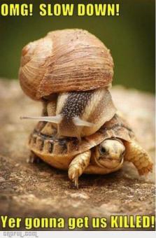 1321766255_slow_down_gag