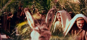 Palm Sunday